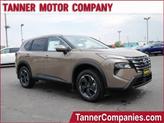 Photo of 2025 Baja Storm Nissan Rogue