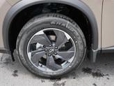 Thumbnail of 2025 Baja Storm Nissan Rogue