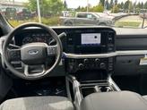 Thumbnail of 2025 Ruby Red Metallic Ford F-250