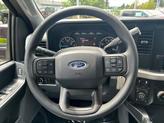 Thumbnail of 2025 Ruby Red Metallic Ford F-250