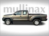 Thumbnail of 2010 Pyrite Mica Toyota Tacoma