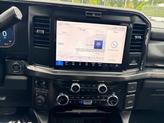 Thumbnail of 2025 Carbonized Gray Ford F-250