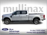 Thumbnail of 2019 Ingot Silver Metallic Ford F-250