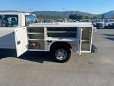 Thumbnail of 2020 Oxford White Ford F-250