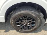 Thumbnail of 2025 Oxford White Ford F-150