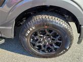 Thumbnail of 2025 Gray Ford F-150
