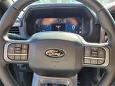 Thumbnail of 2025 Gray Ford F-150