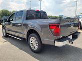 Thumbnail of 2025 Gray Ford F-150