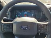 Thumbnail of 2025 Carbonized Gray Metallic Ford F-150