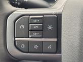 Thumbnail of 2025 Gray Ford F-150
