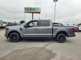 Thumbnail of 2025 Gray Ford F-150