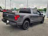 Thumbnail of 2025 Gray Ford F-150