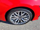 Thumbnail of 2025 Race Red Ford Mustang