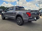 Thumbnail of 2025 Gray Ford F-150