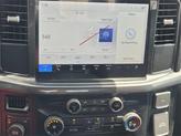 Thumbnail of 2025 Gray Ford F-150
