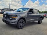 Thumbnail of 2025 Gray Ford F-150