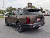 Thumbnail of 2026 Brass Hyundai PALISADE