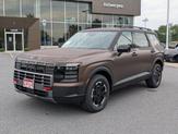 Thumbnail of 2026 Brass Hyundai PALISADE