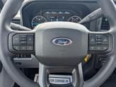 Thumbnail of 2025 Agate Black Metallic Ford F-250