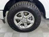 Thumbnail of 2024 White Ford F-150