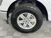Thumbnail of 2023 White Ford F-150
