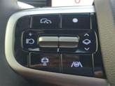 Thumbnail of 2025 Vik Black Genesis GV80