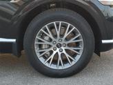 Thumbnail of 2025 Vik Black Genesis GV80