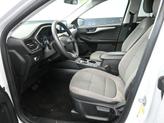 Thumbnail of 2022 OXFORD WHITE Ford Escape