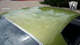 Thumbnail of 1971 Lime Chevrolet Camaro