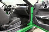 Thumbnail of 2019 Green/Black Stripe Ford Mustang