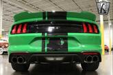 Thumbnail of 2019 Green/Black Stripe Ford Mustang