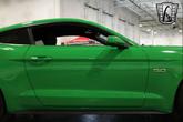 Thumbnail of 2019 Green/Black Stripe Ford Mustang