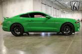 Thumbnail of 2019 Green/Black Stripe Ford Mustang