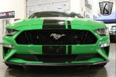 Thumbnail of 2019 Green/Black Stripe Ford Mustang