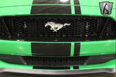Thumbnail of 2019 Green/Black Stripe Ford Mustang