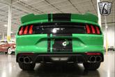 Thumbnail of 2019 Green/Black Stripe Ford Mustang
