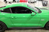 Thumbnail of 2019 Green/Black Stripe Ford Mustang