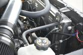 Thumbnail of 1983 Orange Chevrolet C10/K10