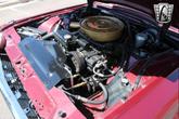 Thumbnail of 1965 Maroon Ford Thunderbird