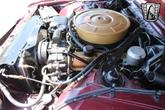Thumbnail of 1965 Maroon Ford Thunderbird