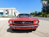 Thumbnail of 1964 Red Ford Mustang