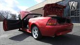 Thumbnail of 2001 Laser Tint Red Ford Mustang