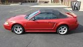 Thumbnail of 2001 Laser Tint Red Ford Mustang