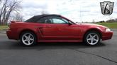 Thumbnail of 2001 Laser Tint Red Ford Mustang