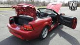 Thumbnail of 2001 Laser Tint Red Ford Mustang