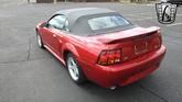 Thumbnail of 2001 Laser Tint Red Ford Mustang