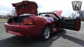 Thumbnail of 2001 Laser Tint Red Ford Mustang