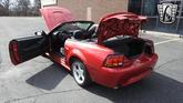 Thumbnail of 2001 Laser Tint Red Ford Mustang