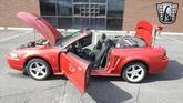Thumbnail of 2001 Laser Tint Red Ford Mustang