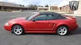 Thumbnail of 2001 Laser Tint Red Ford Mustang